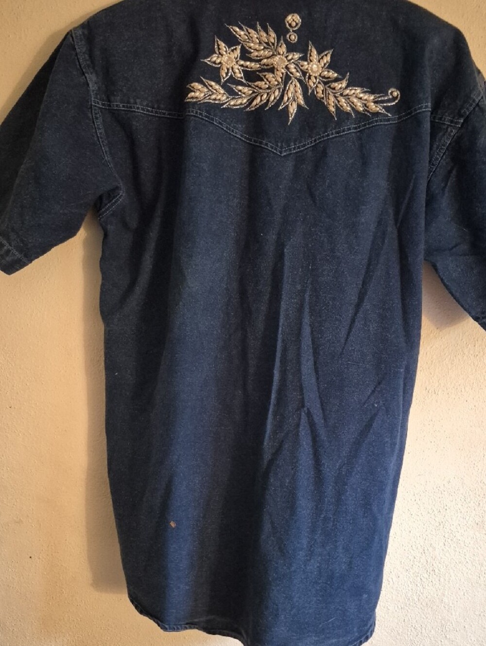 Embroidered Denim Western Shirt - Blue - Picture 4 of 11